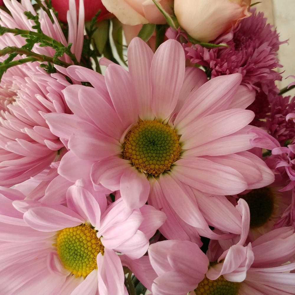 Meet your Posher, Karla